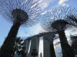 The Gardens By The Bay- a singapore visitor's guide
