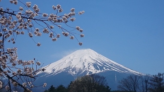 The best places to see cherry blossom in Japan